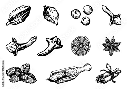a set of spices for mulled wine, vector illustration sketch