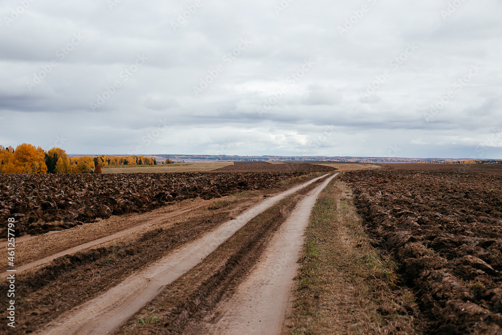 the road between the plowed fields, going into the distance, autumn landscape on the background the road between the plowed fields, going into the distance, autumn landscape on the background
