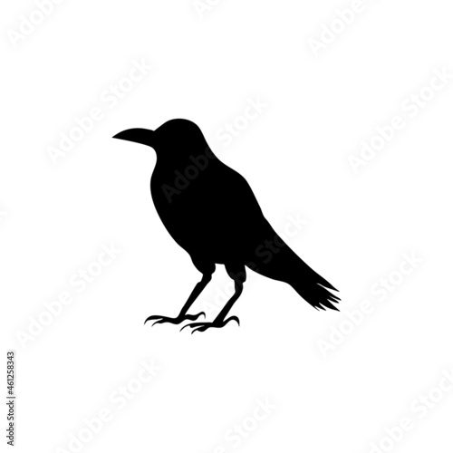 Witch Halloween Crow Silhouette on White Background. Isolated Vector Animal Template