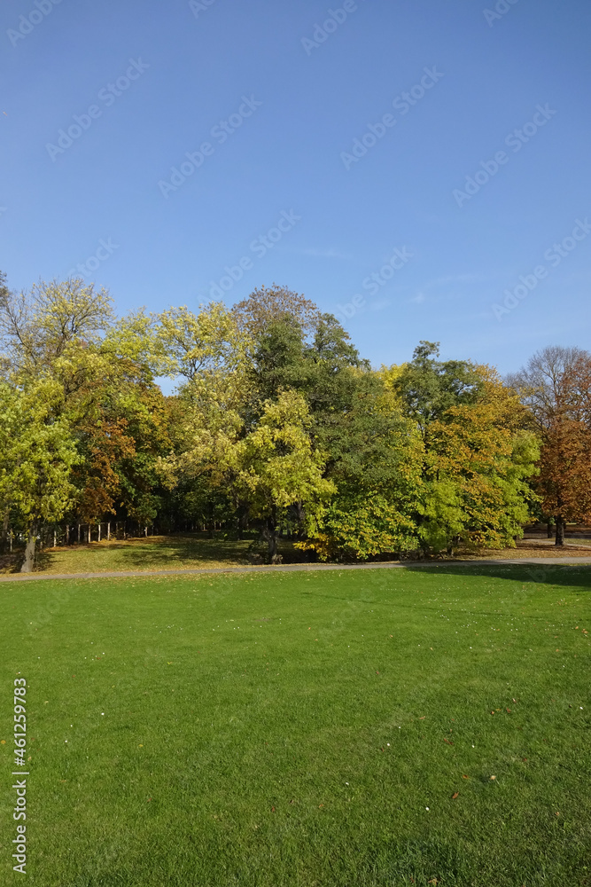 Autumn Landscape in city park Kadriorg in autumn season. Many spruce trees and trees with golden yellow folliage on the back. Green lawn in the front. Tallinn, Estonia, Europe. October 2021
