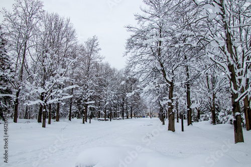 綺麗に雪化粧した公園 © 白太郎