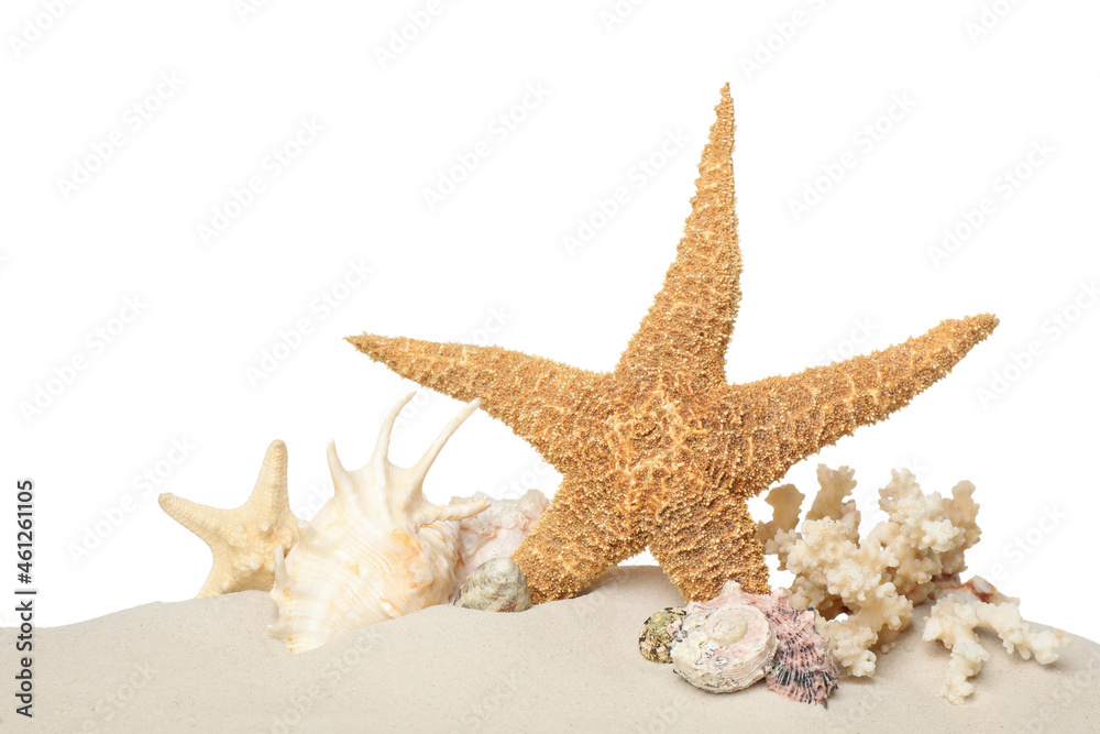 Beautiful starfishes, coral and sea shells in sand on white background Beautiful starfishes, coral and sea shells in sand on white background
