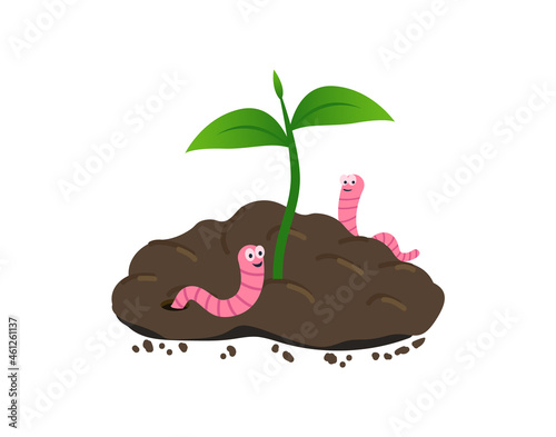 Earthworm on a pile of ground. Worm and young green plant.