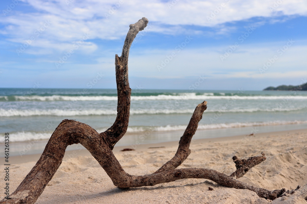 Chaweng Beach in Koh Samui in Thailand lonely during corona pandemic.