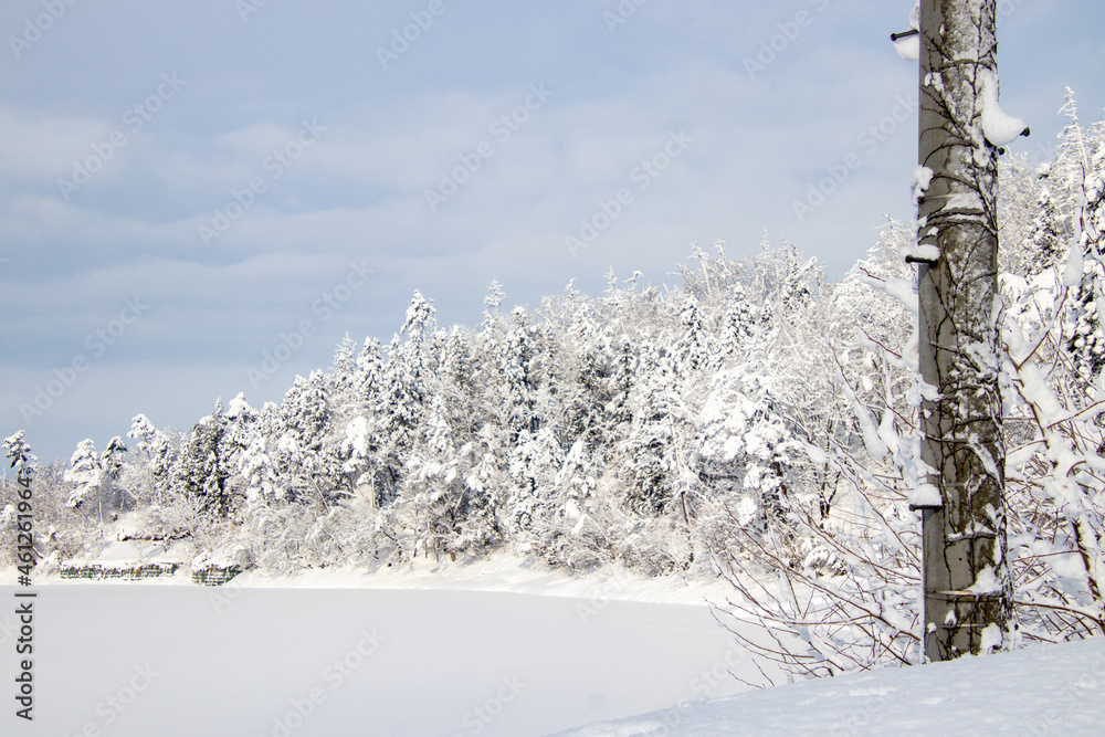 Obraz premium 一面雪の積もった湖