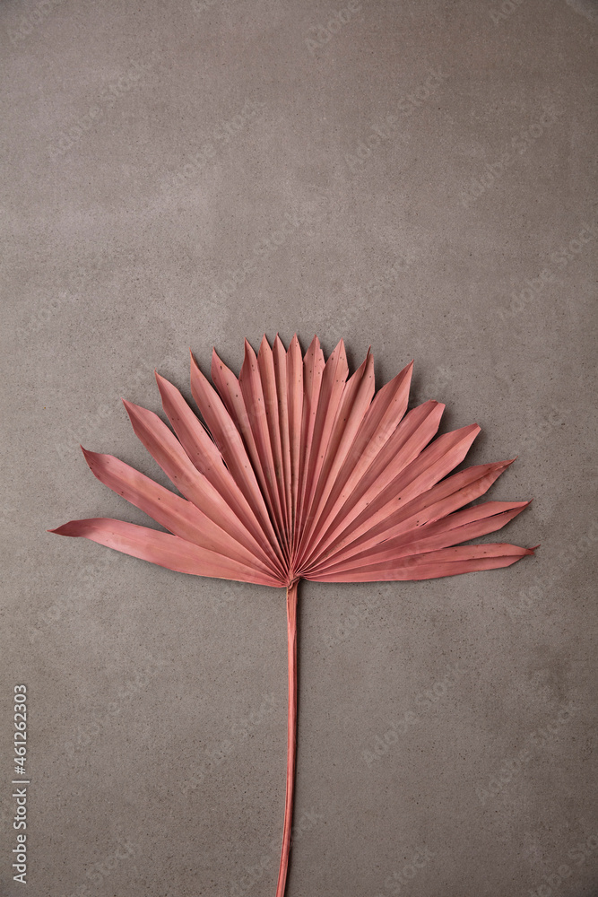 Dried pink tropical palm tree leaf boho style fashionable decoration on a concrete background - obrazy, fototapety, plakaty 
