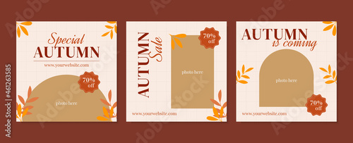 Autumn fashion sale promotion social media Instagram story post vector illustration