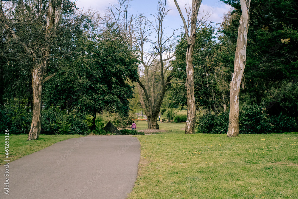 path in the park path in the park