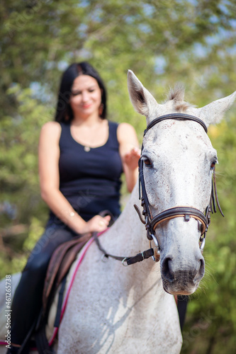 A beautiful woman sits astride a horse and strokes her. Horse riding training
