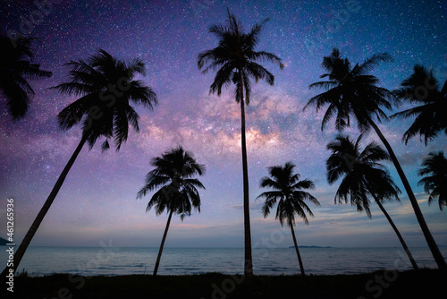 Landscape view of Milky Way in night sky over coconut trees on beach. Camping and outdoor travel.