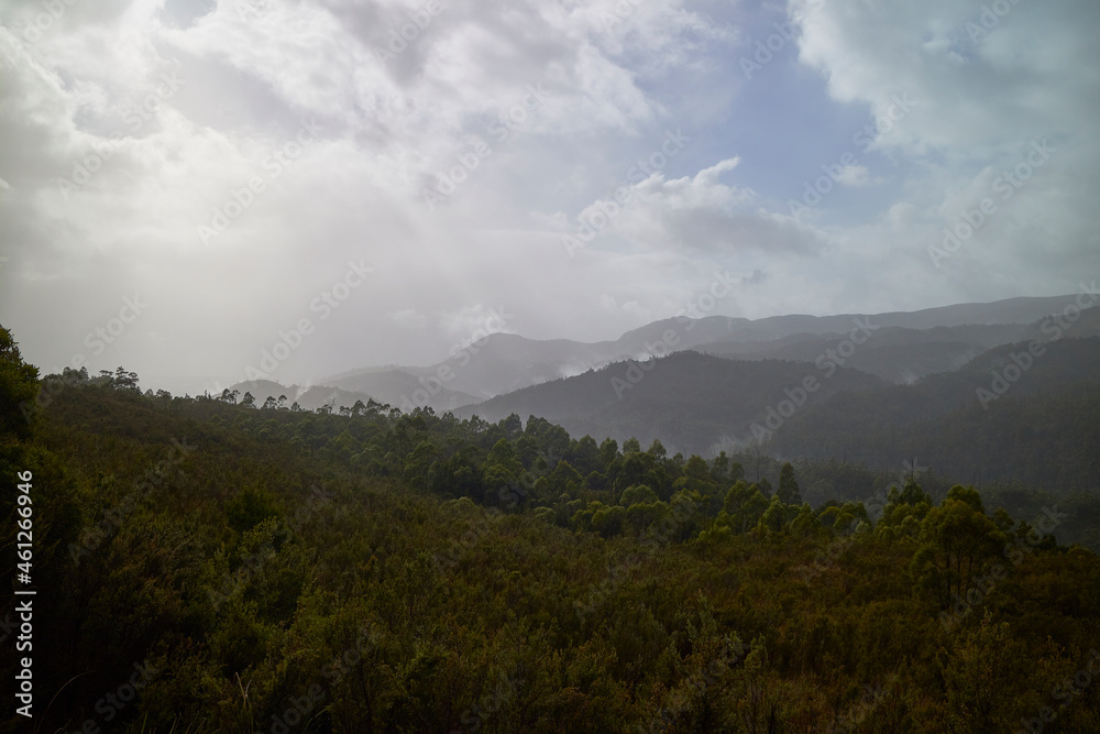 Scenes of the Tarkine Ranges after a cloudburst, Tasmania, Australia.