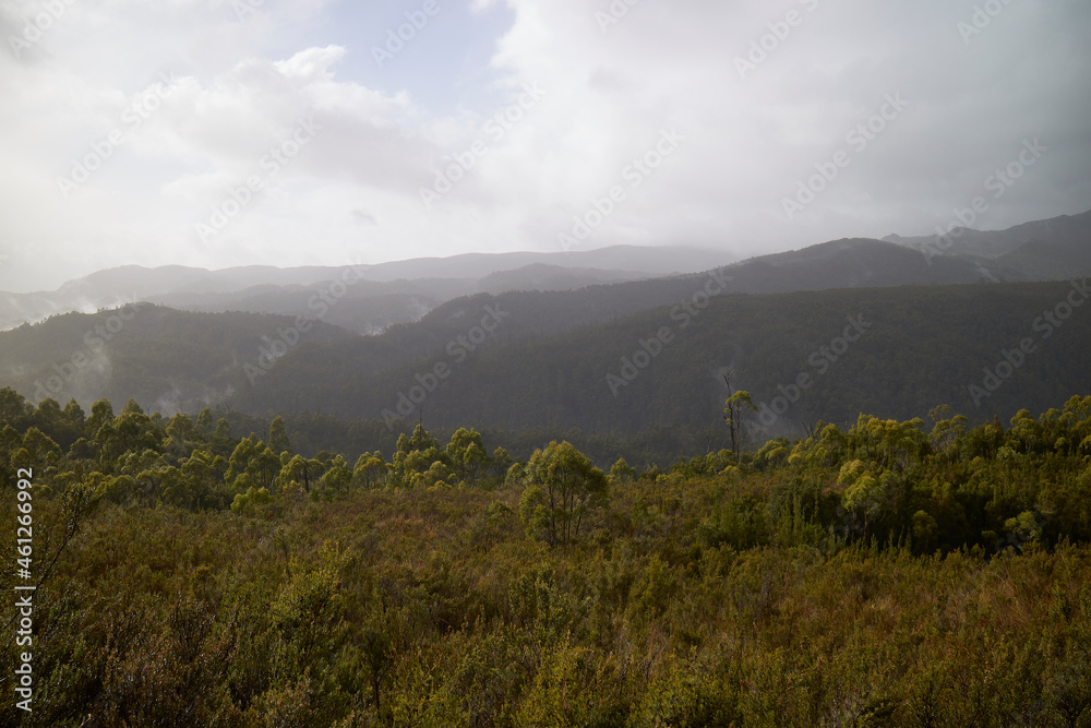 Scenes of the Tarkine Ranges after a cloudburst, Tasmania, Australia.