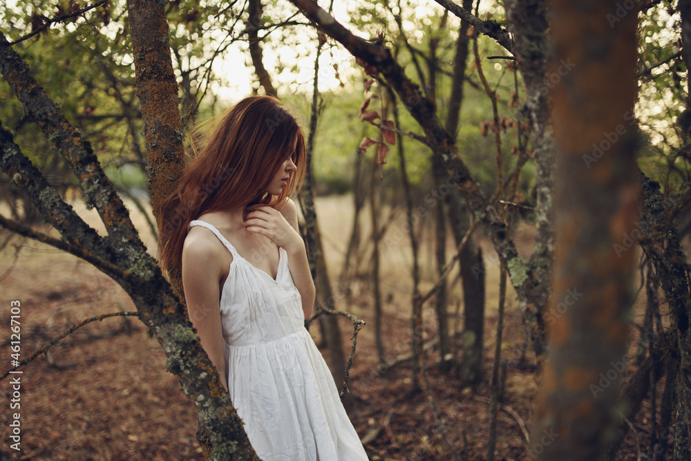 pretty woman in white dress leaning against a tree summer walk pretty woman in white dress leaning against a tree summer walk