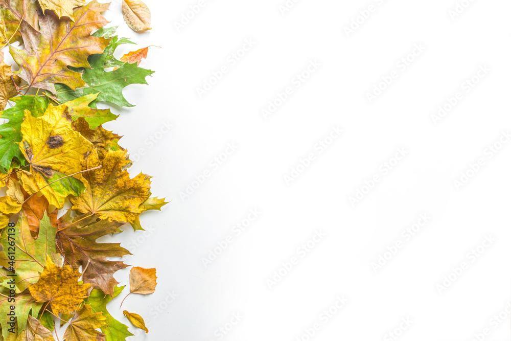 Simple Autumn leaf flatlay, colorful fall dried leaves and pumpkins on white background, top view frame border. Autumn creative composition. Simple Autumn leaf flatlay, colorful fall dried leaves and pumpkins on white background, top view frame border. Autumn creative composition.