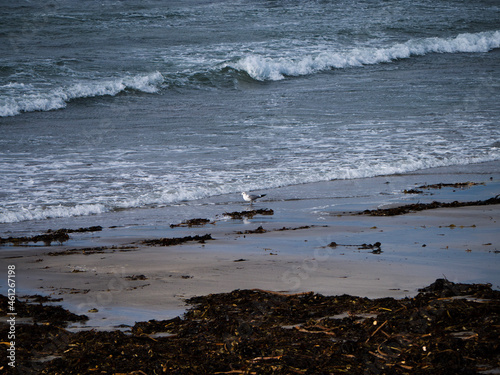 waves on the beach