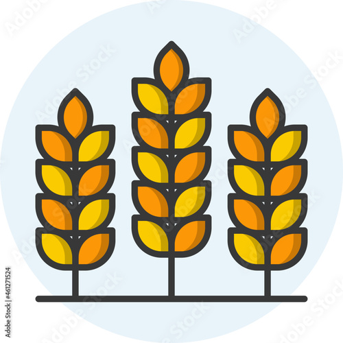 Grain
