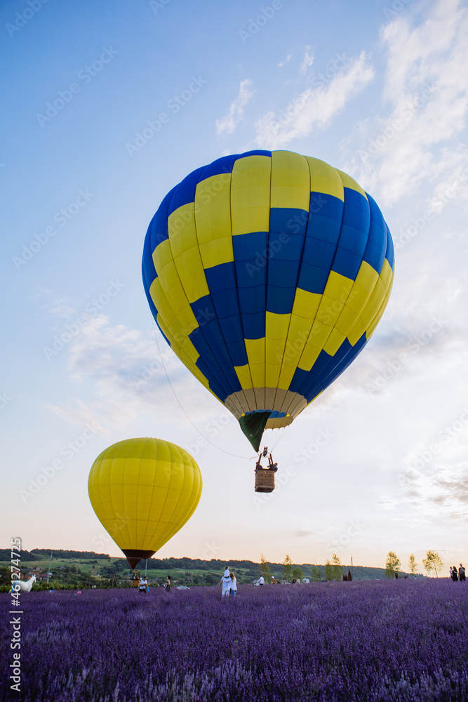 Obraz premium air balloon with basket above lavender field