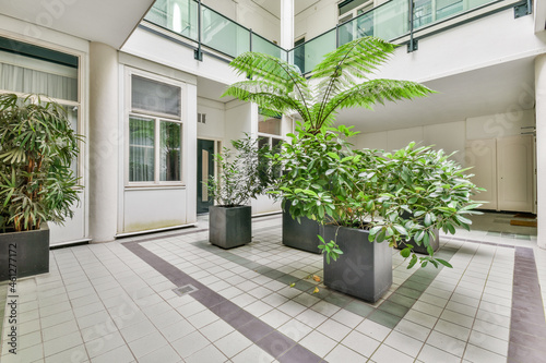 Various potted plants decorating lobby of modern building