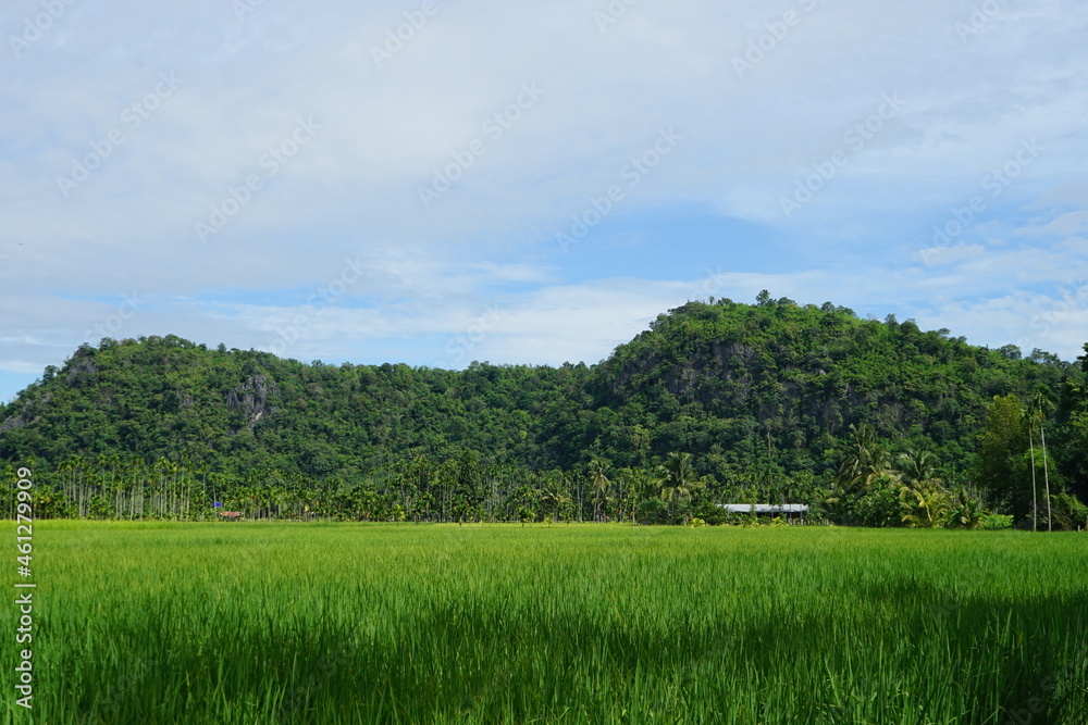 picture of mountains with greenery with the grass and the sky
picture of mountains with greenery with the grass and the sky