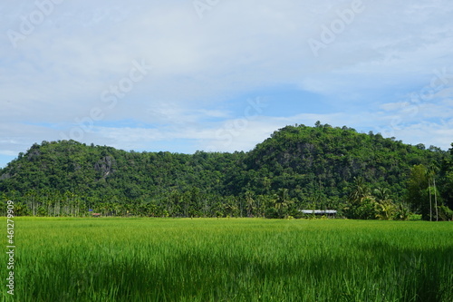  picture of mountains with greenery with the grass and the sky