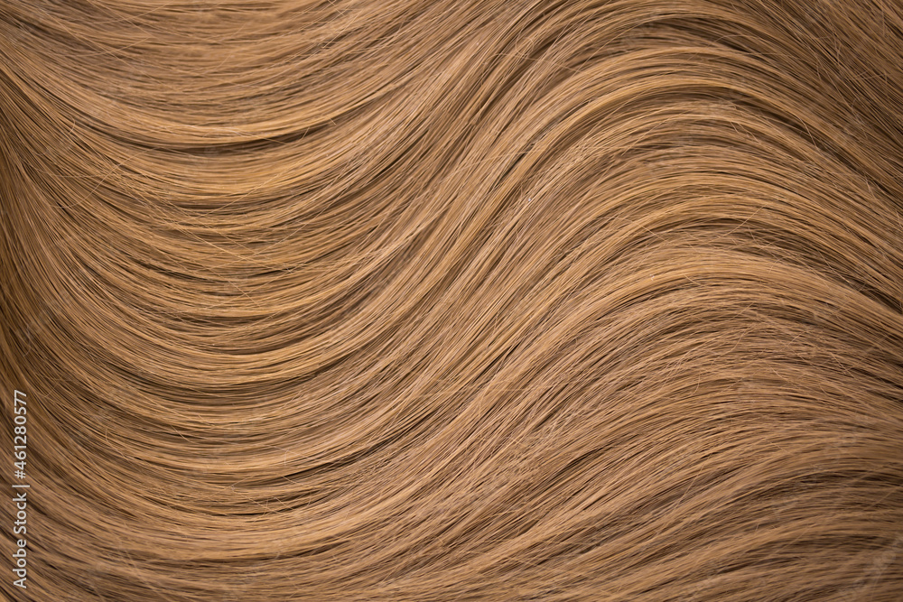 Naklejka premium Background hair light brown closeup. Female long blond hair close-up as a background. Beautifully laid wavy shiny curls.Hair coloring. Hairdressing procedures. Copy space with space for text.