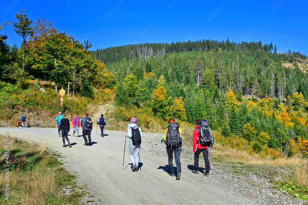 Fototapeta premium Beautiful sunny holiday day. Group of friends is going on a trip. Tourists on the hiking trail in the mountains. Active healthy lifestyle. Trekking and nordic walking.