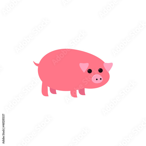pig isolated on white