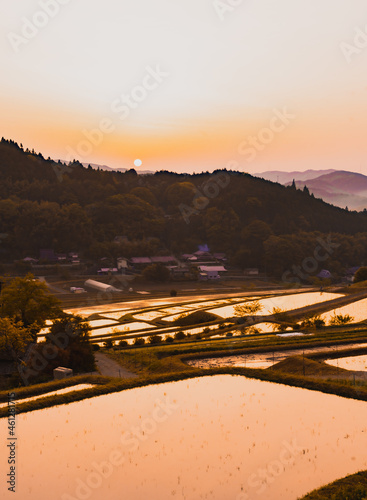 日本の田園風景棚田から見える朝日