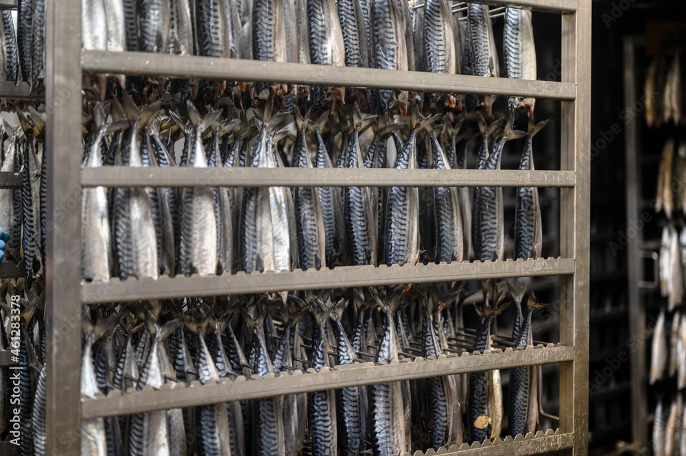 Mackerel carcasses hang in a special metal container.