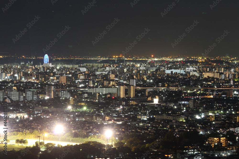 Fototapeta premium 東京夜景