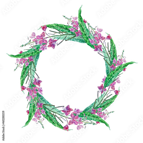 A wreath is a frame made of flowers and leaves of Ivan-tea. Watercolor template