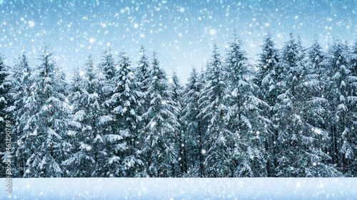 Winter landscape with fir trees covered with white snow .
