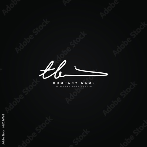 Initial Letter TB Logo - Hand Drawn Signature Style Logo