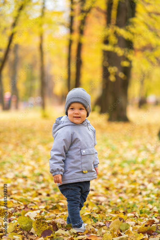 A small child walks in October in the park in the afternoon on autumn leaves and laughs A small child walks in October in the park in the afternoon on autumn leaves and laughs