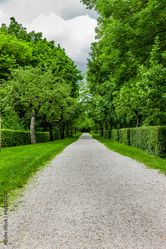Gerade Spazierweg durch einen Park Gerade Spazierweg durch einen Park
