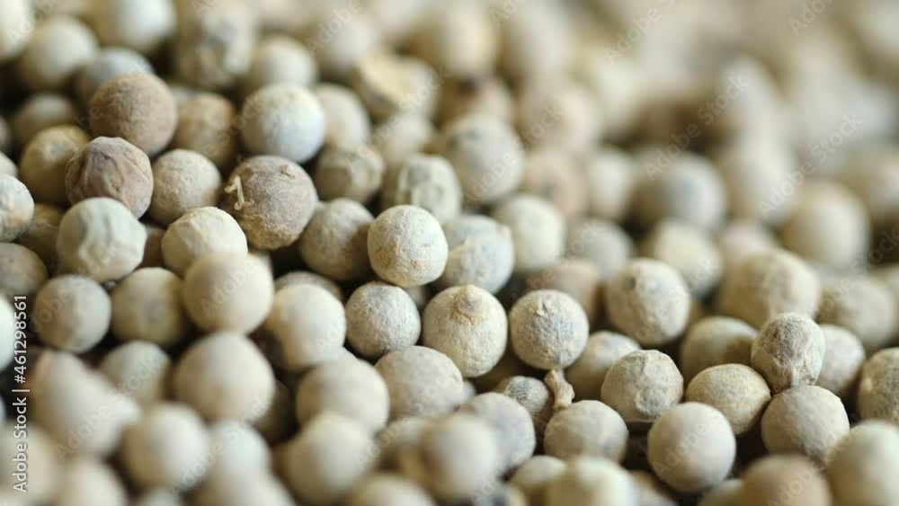 Peppercorns close up with rotation. Macro shot. Dried wite pepper grains.