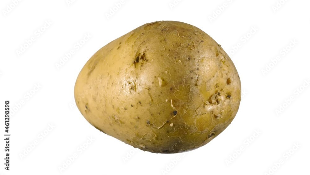 Minimalistic animated design style. Elements concept blank background template. The art of minimal motion design. Rotating potato on a white background. Minimalistic animated design style. Elements concept blank background template. The art of minimal motion design. Rotating potato on a white background.