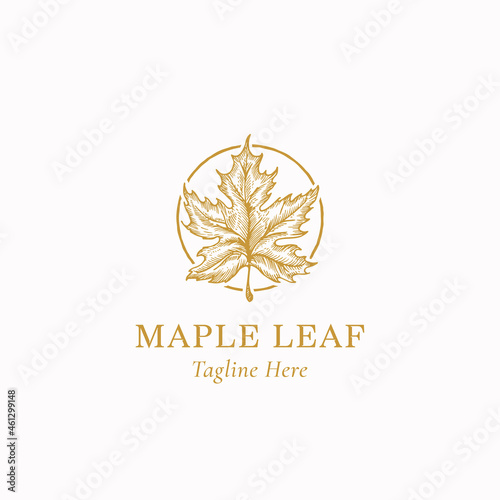 Maple Leaf Abstract Vector Sign, Symbol or Logo Template. Hand Drawn Autumn Leaf Sketch Illustration in a Circle Frame with Retro Typography. Isolated