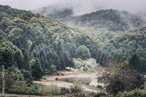 Mist in the forest and the lake up to the mountain .autumn landscape in Greece  Olympus