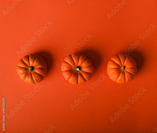 Orange Pumkins