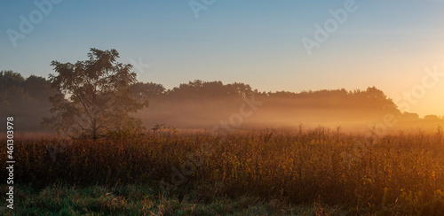 655-82 Sunrise Mist, Springbrook Prairie