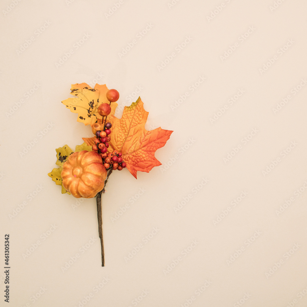 Autumn composition made of autumn branch on beige background. Creative fall idea decorated with leaves and pumpkin. Flat lay, copy space