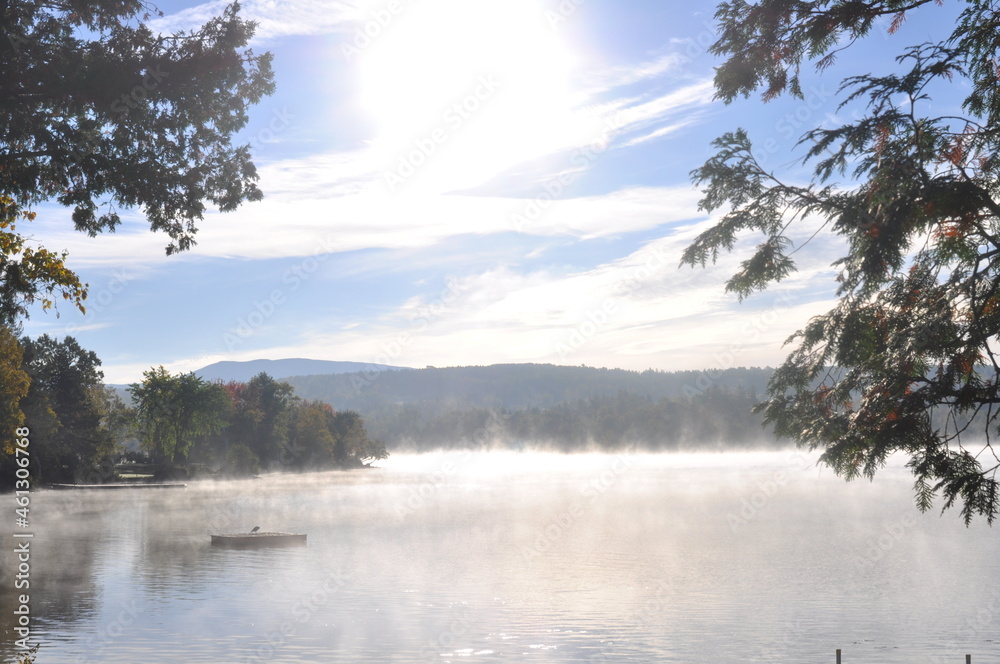 Fototapeta premium Lone Bird on Lone Raft on Lonely Lake Morning