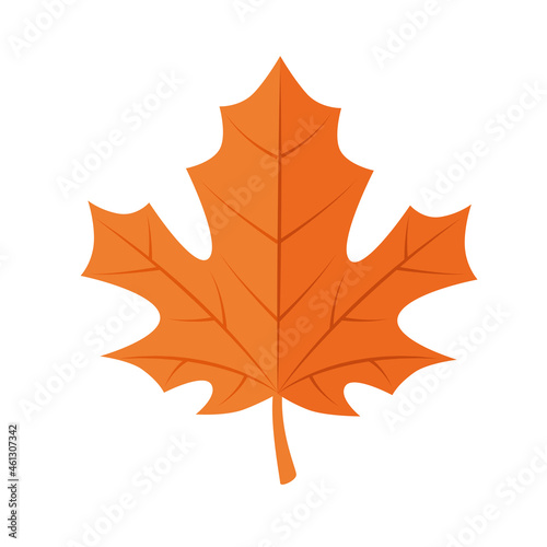 autumn maple leaf icon