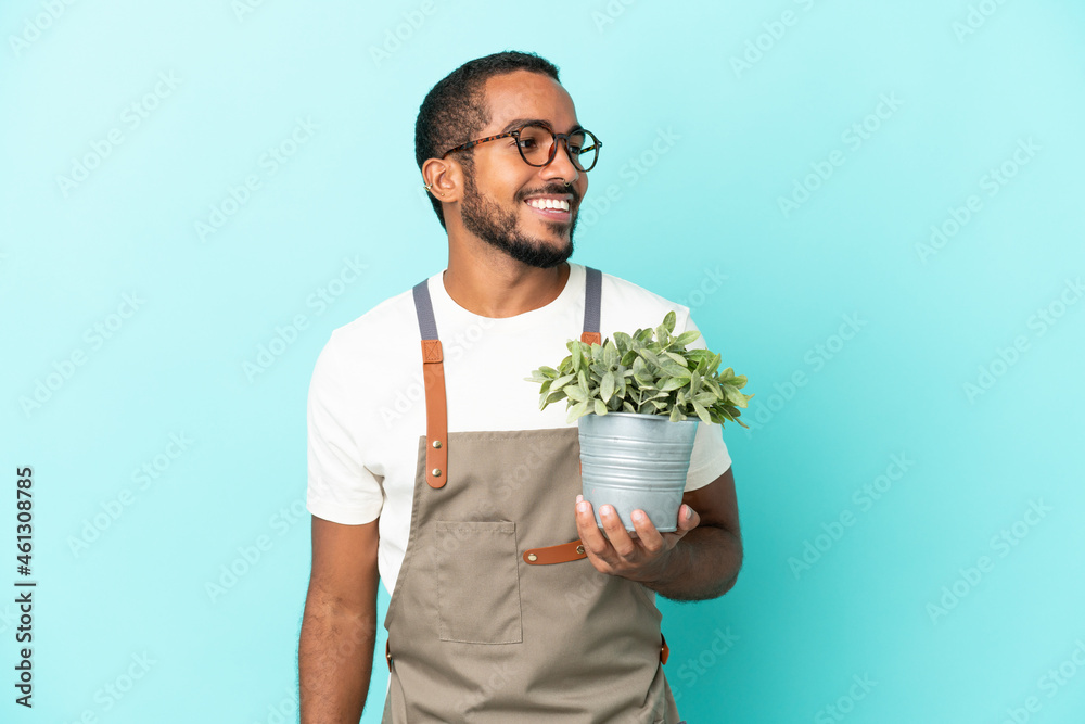 Gardener latin man holding a plant isolated on blue background looking to the side and smiling Gardener latin man holding a plant isolated on blue background looking to the side and smiling