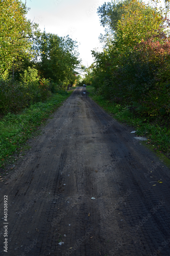Obraz premium Dirt road and mud between trees and bushes on a sunny day. Summer. Day.