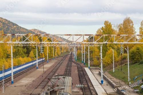 Railroad through the forest