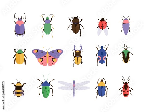 Vector illustration of bugs. Insect set. Beetle icons collection © Jango_art