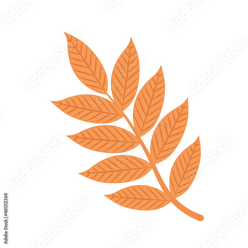 autumn branch with leafs