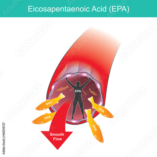 Eicosapentaenoic Acid. Illustration for commercial use about healthy care of artery wall to blood smooth flow..